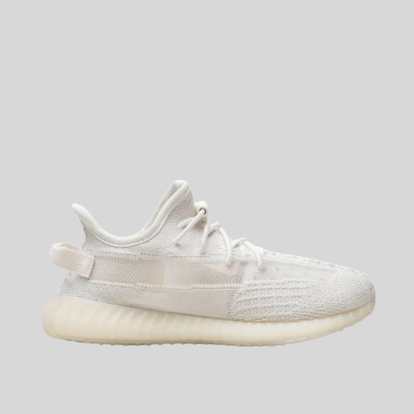 350 V2 BONE